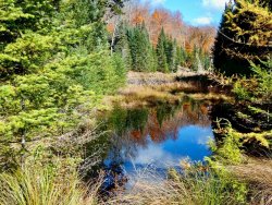 41E1F575-82BB-4259-B9B6-B98C7BE75103.jpeg 41E1F575-82BB-4259-B9B6-B98C7BE75103.jpeg