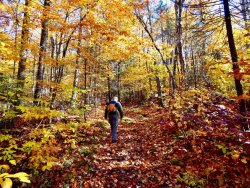 CF84FAD9-C172-4863-80B1-608FABFF8B9C.jpeg CF84FAD9-C172-4863-80B1-608FABFF8B9C.jpeg