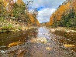 IMG_8278.jpg IMG_8278.jpg