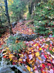 IMG_8280.jpg IMG_8280.jpg