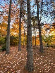 IMG_8304.jpg IMG_8304.jpg