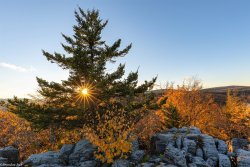 2A4A0852.JPG 2A4A0852.JPG