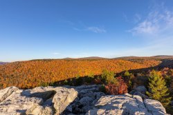 2A4A0873.JPG 2A4A0873.JPG