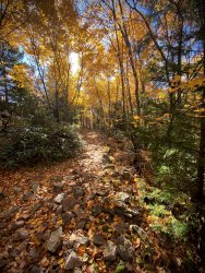 IMG_8313.jpg IMG_8313.jpg