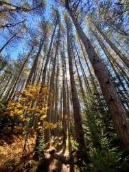 IMG_8330.jpg IMG_8330.jpg