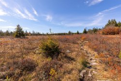 2A4A0877.JPG 2A4A0877.JPG