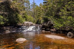 2A4A0879.JPG 2A4A0879.JPG