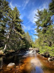 IMG_8334.jpg IMG_8334.jpg