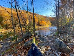 IMG_8341.jpg IMG_8341.jpg