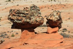 IMG_6286.jpg IMG_6286.jpg