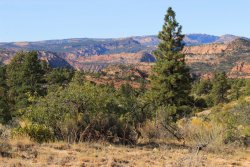 IMG_6297.jpg IMG_6297.jpg