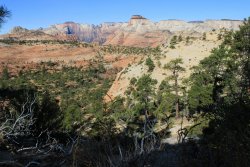 IMG_6301.jpg IMG_6301.jpg