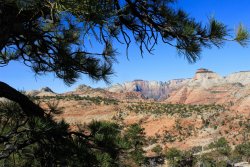 IMG_6312.jpg IMG_6312.jpg