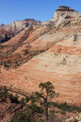 IMG_6326.jpg IMG_6326.jpg