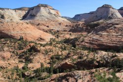 IMG_6334.jpg IMG_6334.jpg