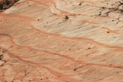 IMG_6338.jpg IMG_6338.jpg