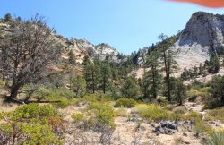 IMG_6354.jpg IMG_6354.jpg