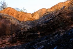 IMG_6367.jpg IMG_6367.jpg