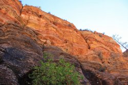 IMG_6376.jpg IMG_6376.jpg