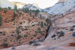 IMG_6386.jpg IMG_6386.jpg