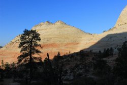 IMG_6392.jpg IMG_6392.jpg