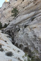 IMG_6403.jpg IMG_6403.jpg