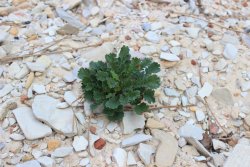 IMG_6405.jpg IMG_6405.jpg