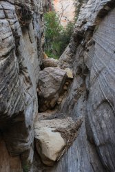 IMG_6424.jpg IMG_6424.jpg