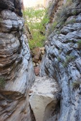 IMG_6426.jpg IMG_6426.jpg