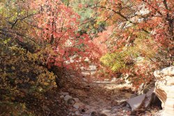 IMG_6428.jpg IMG_6428.jpg