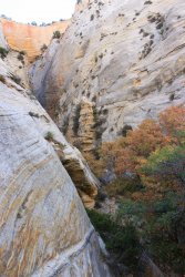 IMG_6430.jpg IMG_6430.jpg