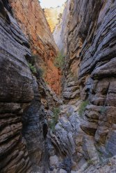 IMG_6432.jpg IMG_6432.jpg