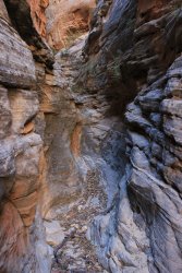 IMG_6433.jpg IMG_6433.jpg