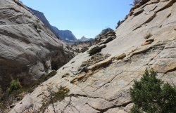 IMG_6442.jpg IMG_6442.jpg