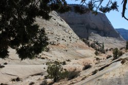 IMG_6446.jpg IMG_6446.jpg