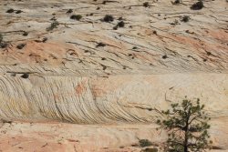 IMG_6449.jpg IMG_6449.jpg