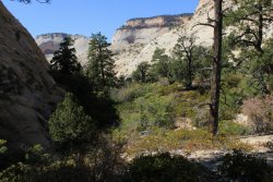 IMG_6458.jpg IMG_6458.jpg