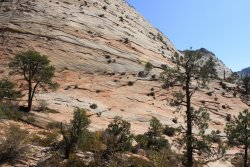 IMG_6478.jpg IMG_6478.jpg