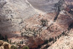 IMG_2295.JPG IMG_2295.JPG