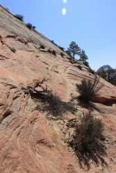 IMG_6479.jpg IMG_6479.jpg