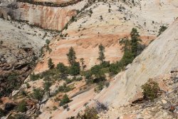 IMG_6480.jpg IMG_6480.jpg