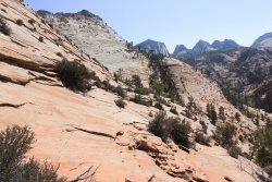 IMG_6481.jpg IMG_6481.jpg