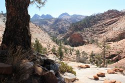 IMG_6482.jpg IMG_6482.jpg