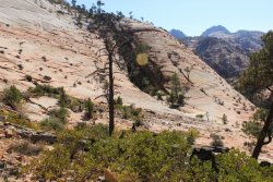 IMG_6486.jpg IMG_6486.jpg