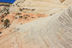 IMG_6488.jpg IMG_6488.jpg