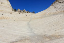 IMG_6491.jpg IMG_6491.jpg