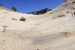 IMG_6493.jpg IMG_6493.jpg