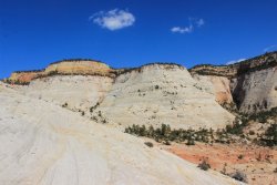 IMG_6499.jpg IMG_6499.jpg