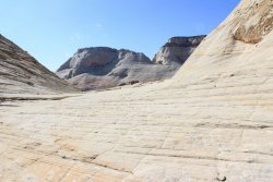 IMG_6504.jpg IMG_6504.jpg