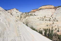 IMG_6505.jpg IMG_6505.jpg